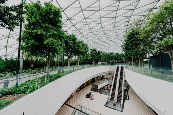 Architecte paysagiste pour les entreprises, Rambouillet, Vert et Beau