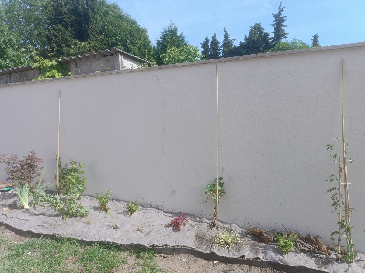 paillage-ecologique-a-base-de-cheveux-recycles-une-avance-durable-utilisation-pro-plantation