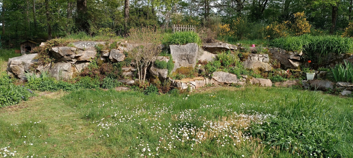 qu-est-ce-qu-un-jardin-ecologique-laisser-les-paquerettes
