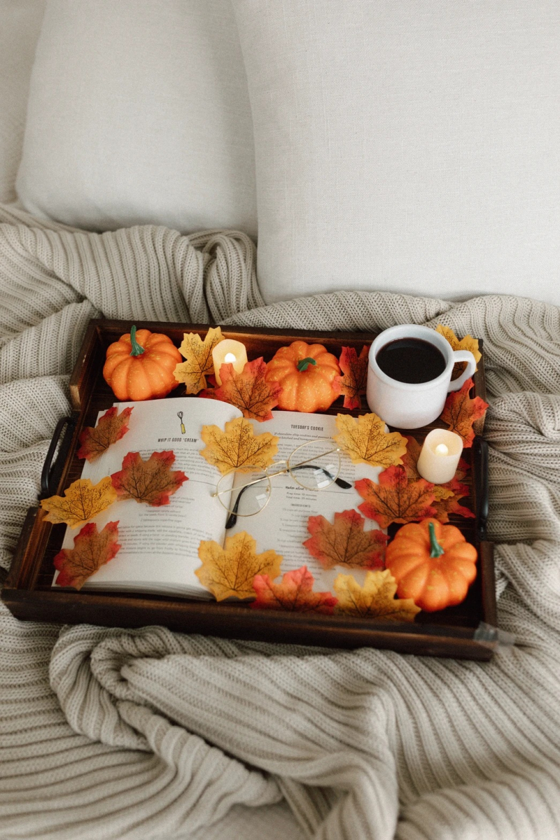 utilisation-ecologique-feuilles-mortes-a-Rambouillet-en-decoration-DIY