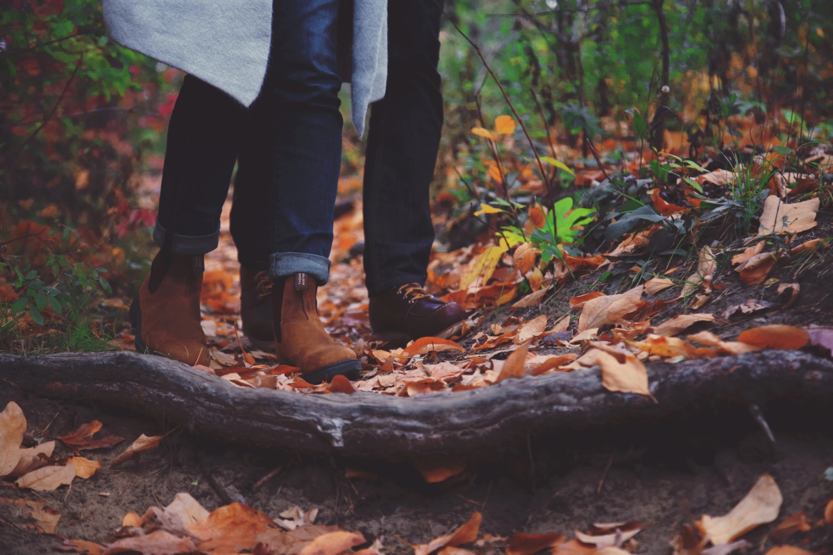 utilisation-ecologique-feuilles-mortes-a-Rambouillet-en-foret-ca-pousse-malgre-les-feuilles-mortes