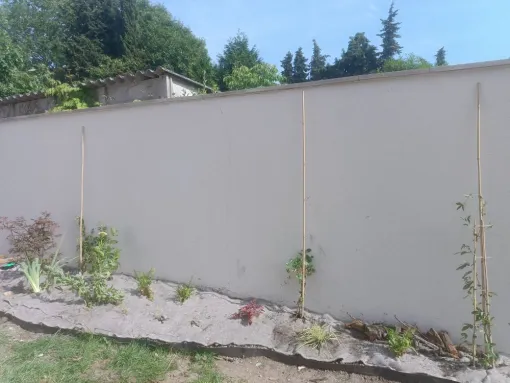 plantation d'arbustes et de vivaces le long d'un mur