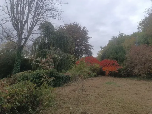 Débroussaillage écologique à Droux sur Drouettes avec Vert et Beau, Rambouillet, Vert et Beau