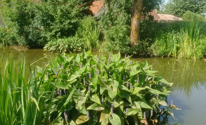 Vert et Beau accompagne les communes de l'Eure vers un fleurissement durable, Rambouillet, Vert et Beau