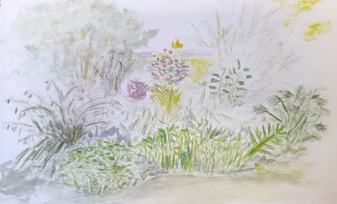 Architecte paysagiste, Rambouillet, Vert et Beau, aquarelle, fruticetum du Potager du Roi