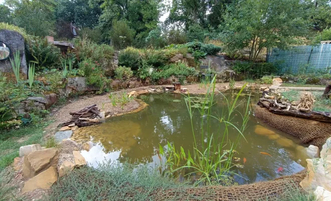 architecte-paysagiste-pour-particuliers-mare naturelle réalisée