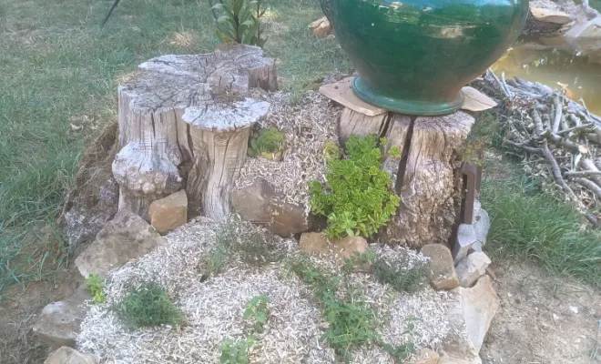 architecte-paysagiste-pour-particuliers-massif d'aromatiques