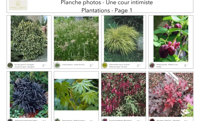 architecte-paysagiste-pour-particuliers-planche photos exemple