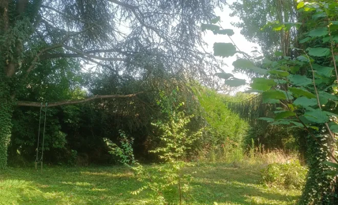 vue-deuxieme-cour-arbres-mis-en-valeur