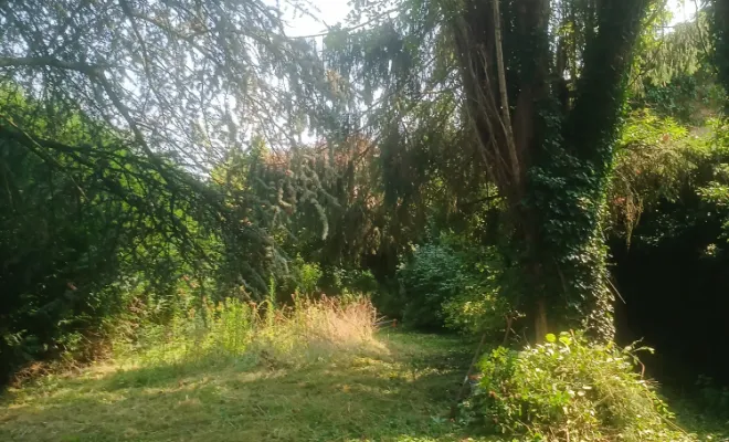 vue-deuxieme-cour-arbres-mis-en-valeur