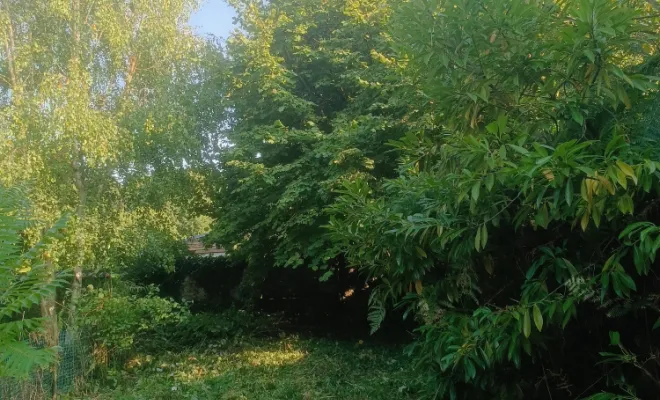 vue-fond-de-parcelle-fauche
