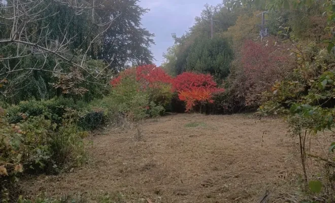 Débroussaillage écologique à Droux sur Drouettes avec Vert et Beau, Rambouillet, Vert et Beau