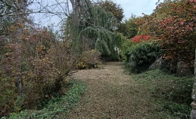 Débroussaillage écologique à Droux sur Drouettes avec Vert et Beau, Rambouillet, Vert et Beau