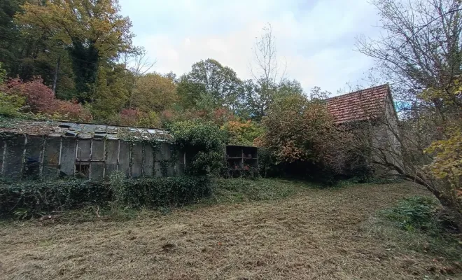 Débroussaillage écologique à Droux sur Drouettes avec Vert et Beau, Rambouillet, Vert et Beau