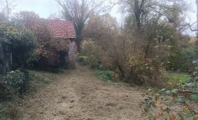 Débroussaillage écologique à Droux sur Drouettes avec Vert et Beau, Rambouillet, Vert et Beau