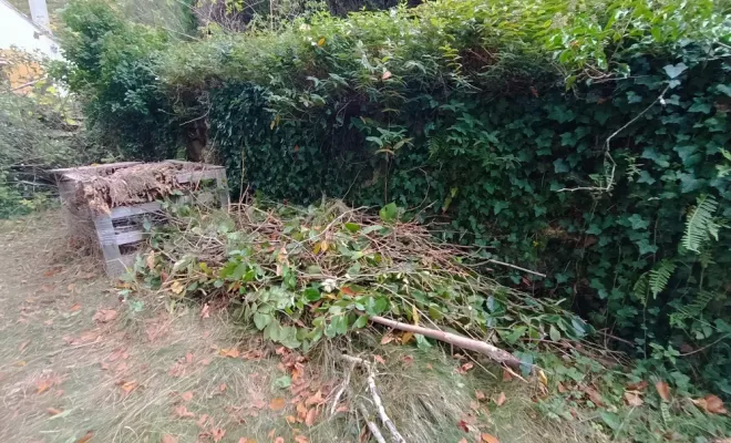 Débroussaillage écologique à Droux sur Drouettes avec Vert et Beau, Rambouillet, Vert et Beau