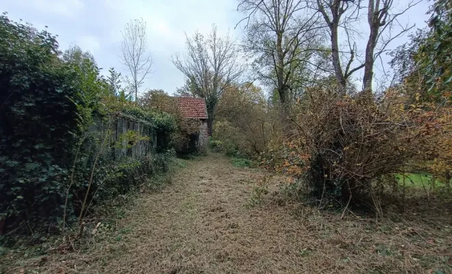 Débroussaillage écologique à Droux sur Drouettes avec Vert et Beau, Rambouillet, Vert et Beau