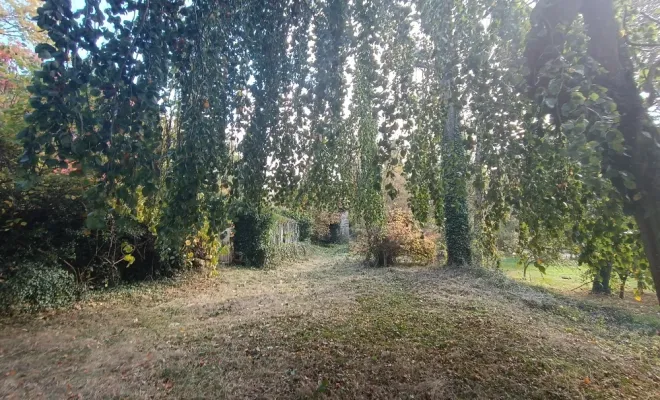 Débroussaillage écologique à Droux sur Drouettes avec Vert et Beau, Rambouillet, Vert et Beau