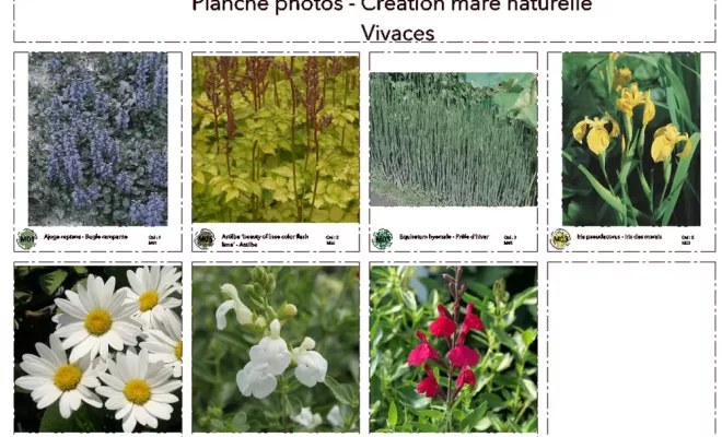 Jardin d'Eden - Conception et Réalisation, Rambouillet, Vert et Beau