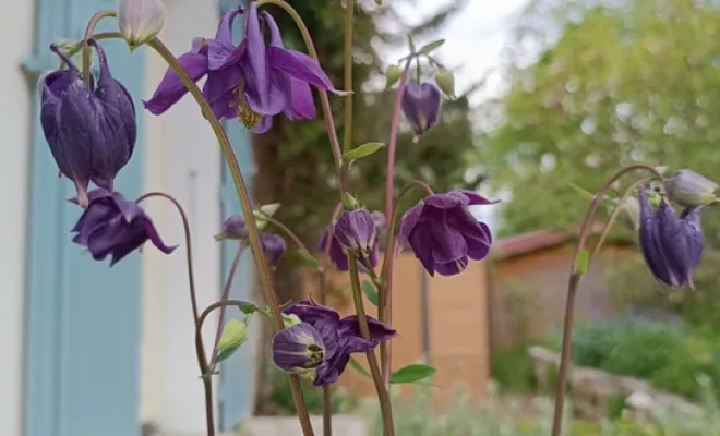 Jardin d'Eden - Conception et Réalisation, Rambouillet, Vert et Beau