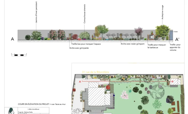  8-demarche-architecture-paysagere-Vert-et-Beau-coupe-elevation