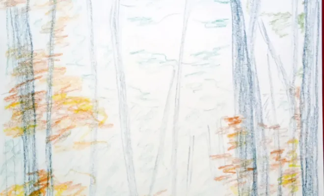 Album d'inspiration - Vert & Beau - architecte paysagiste - croquis couleur forêt automnale