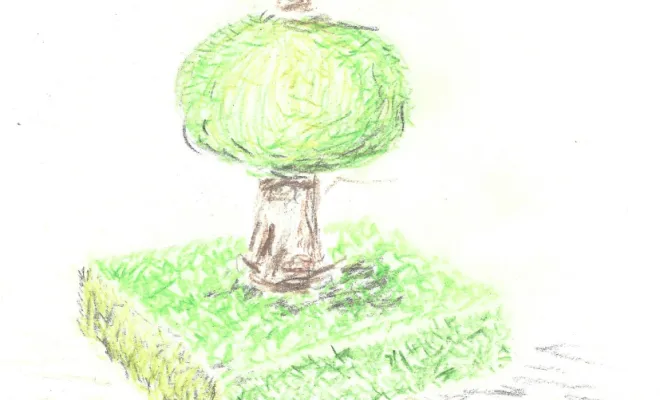 Album d'inspiration - Vert & Beau - architecte paysagiste - topiaire aux crayons