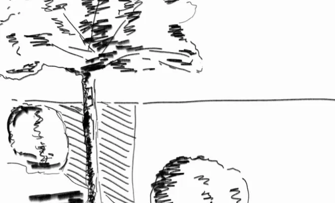 Album d'inspiration - Vert & Beau - architecte paysagiste - croquis ombre et lumière