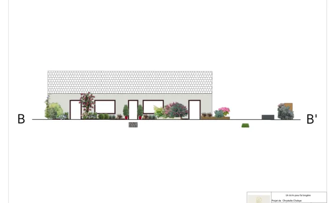 Vue en coupe face à la maison montrant les différentes banquettes fleuries