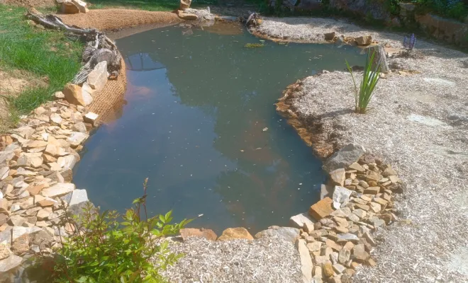 Jardin d'Eden - Conception et Réalisation, Rambouillet, Vert et Beau, mare naturelle