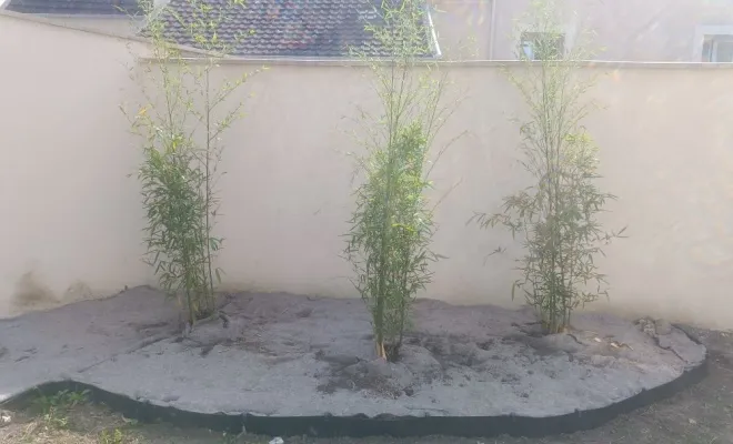 un-lieu-de-vie-exterieur-Yvelines-Conception-Realisation-plantation de bambous avec barrière anti-rhizomes