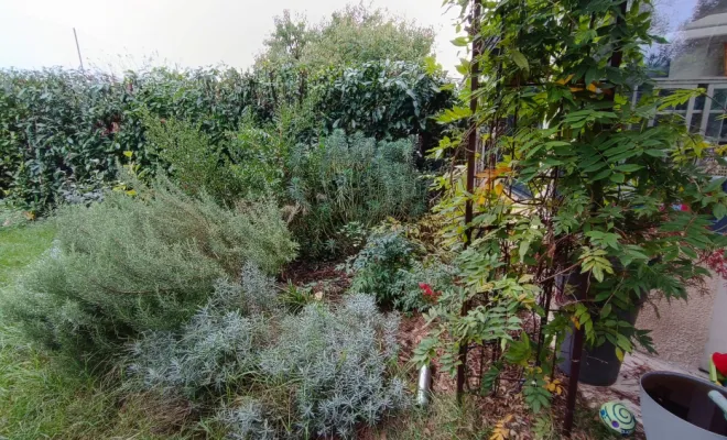 une-cour-intimiste-a-Villemoisson-Conception-existant massif à enlever