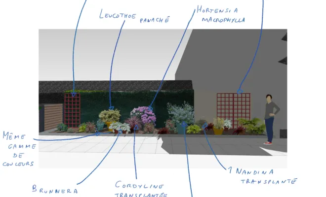 une-cour-intimiste-a-Villemoisson-Conception-vue 3D explications